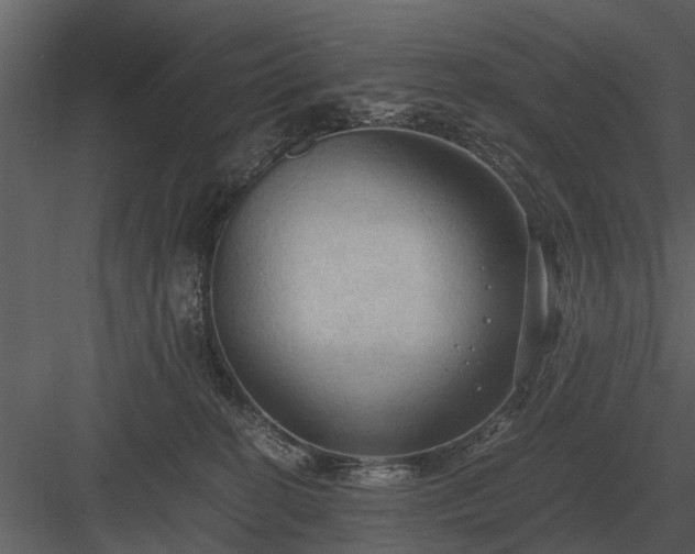 X0000084010274200702232212