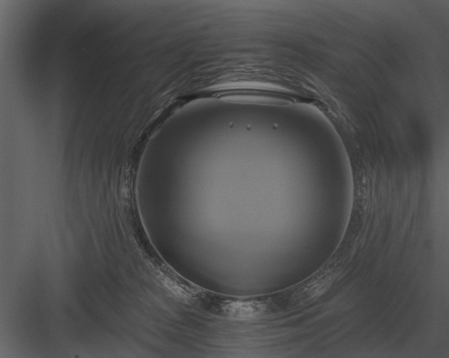 X0000084010277200702232212