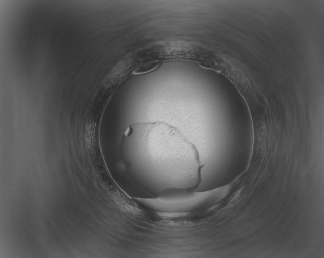 X0000084010278200702232212