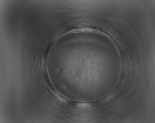 X0000084010281200702232212