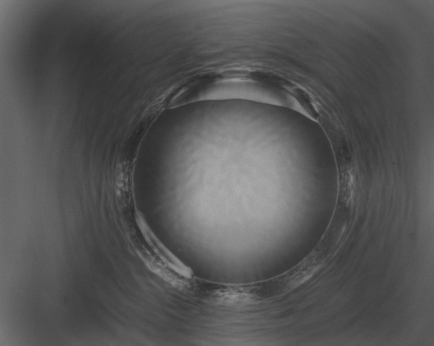 X0000084010284200702232212