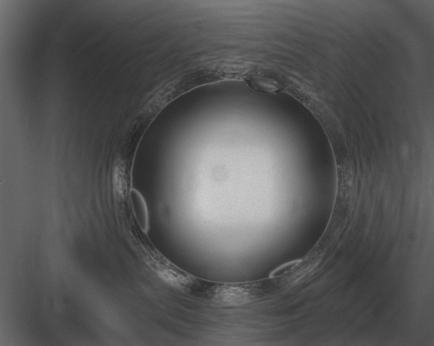 X0000084010287200702232213