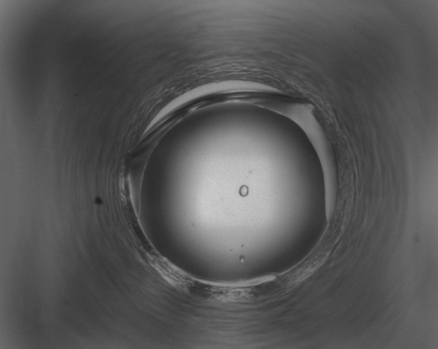 X0000084010288200702232213