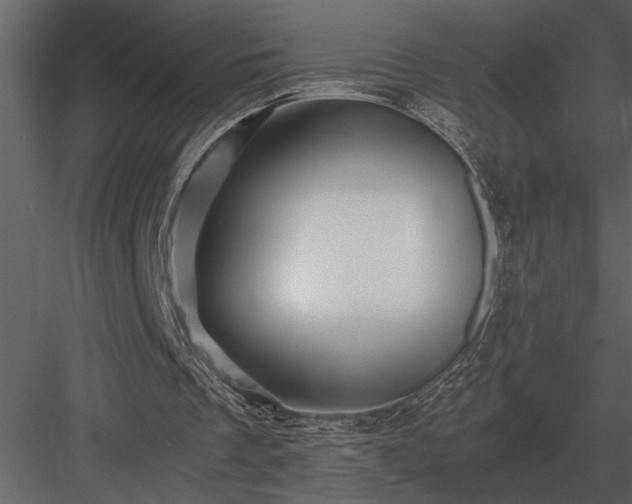 X0000084010289200702232212