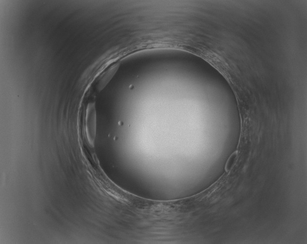 X0000084010290200702232212