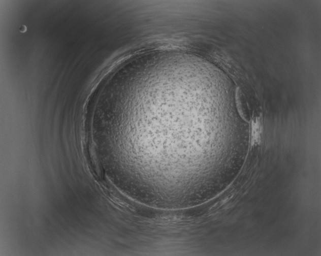 X0000084010291200702232212