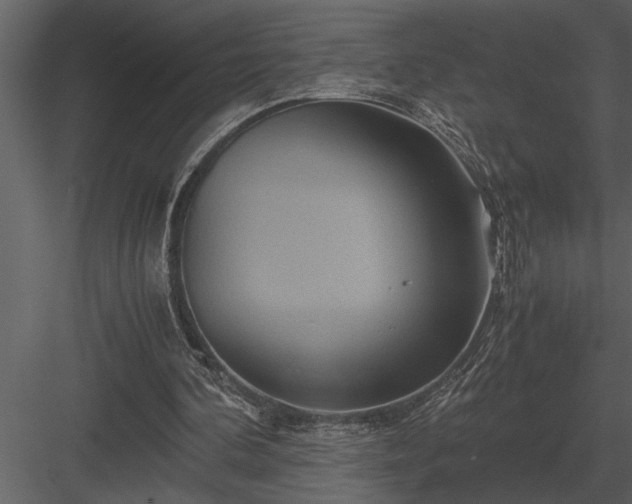 X0000084010292200702232212