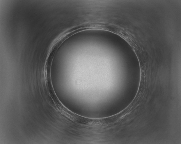 X0000084010294200702232212