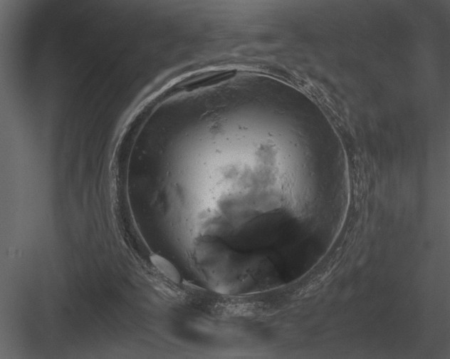 X0000084010295200702232212