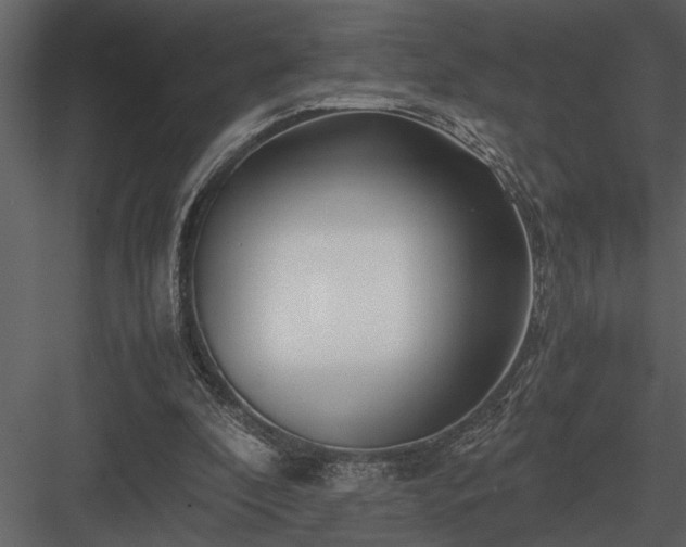 X0000084010296200702232212