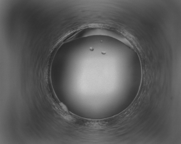 X0000084010297200702232212