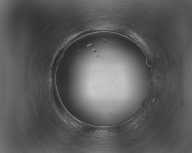 X0000084010298200702232212