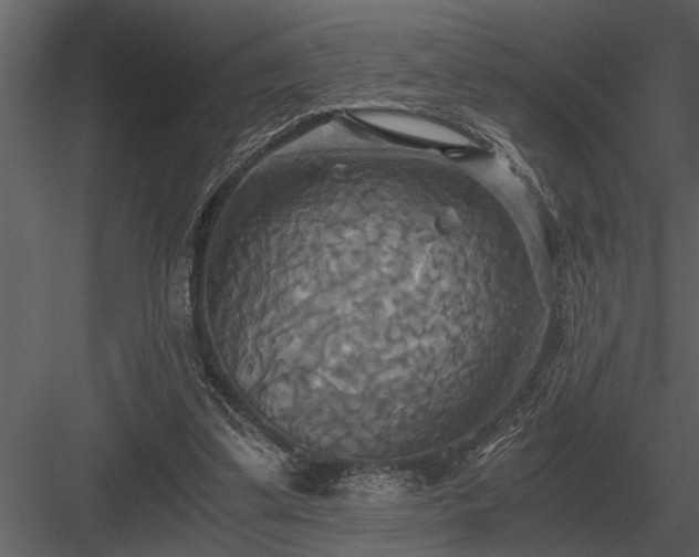 X0000084010299200702232212