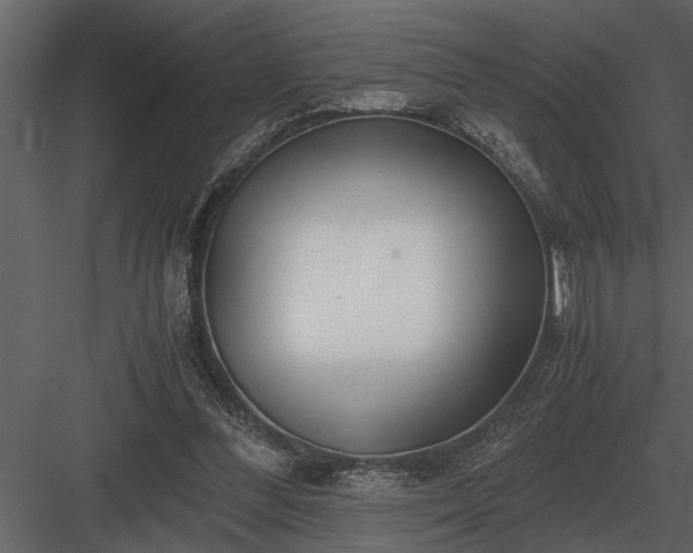 X0000084010300200702232212