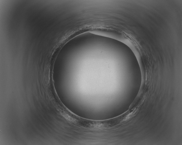 X0000084010301200702232212