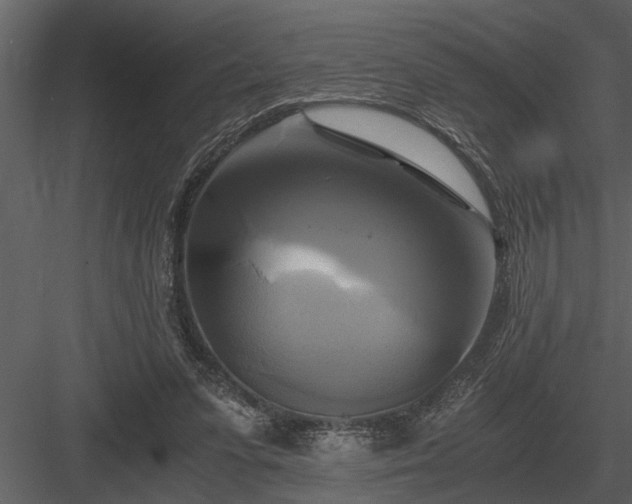 X0000084010303200702232211