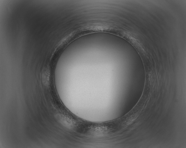 X0000084010304200702232211