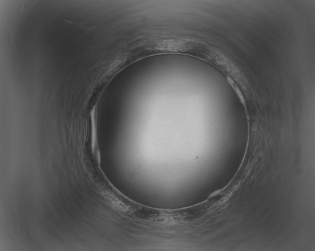 X0000084010305200702232211