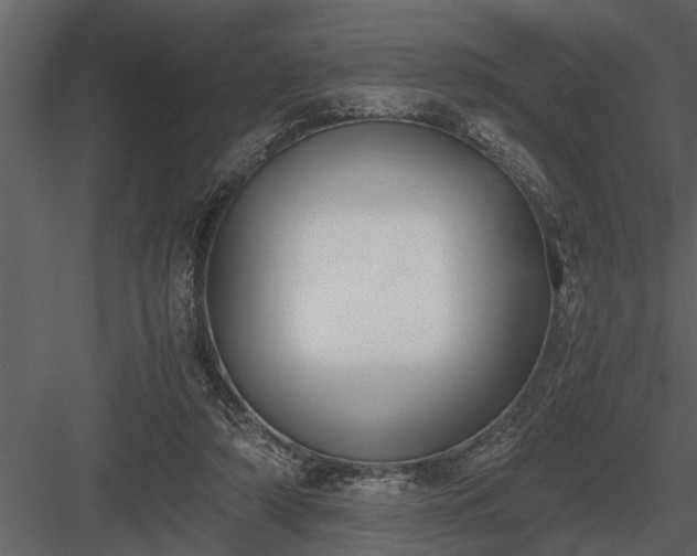 X0000084010306200702232211