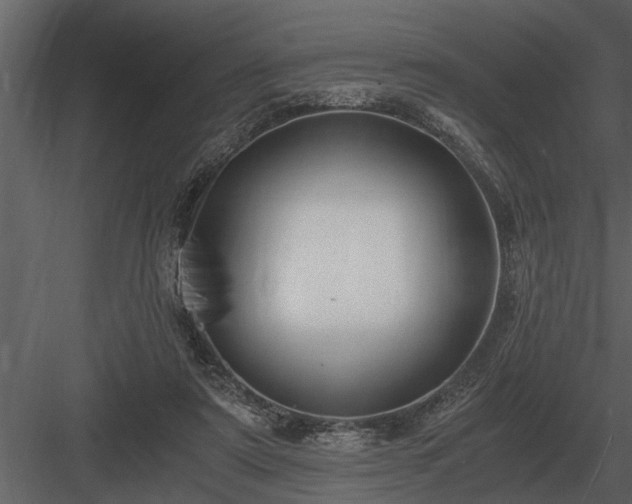 X0000084010307200702232211