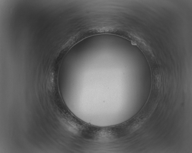 X0000084010308200702232211