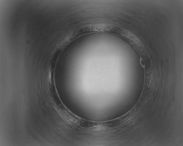 X0000084010310200702232211