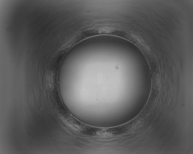 X0000084010311200702232211