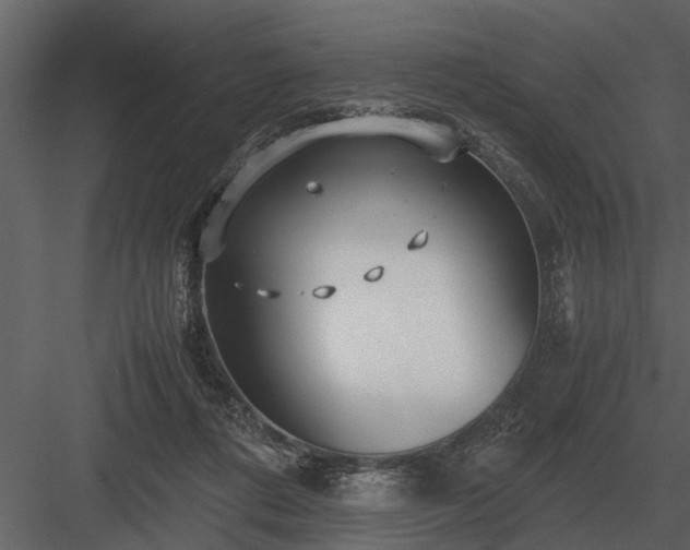 X0000084010312200702232211