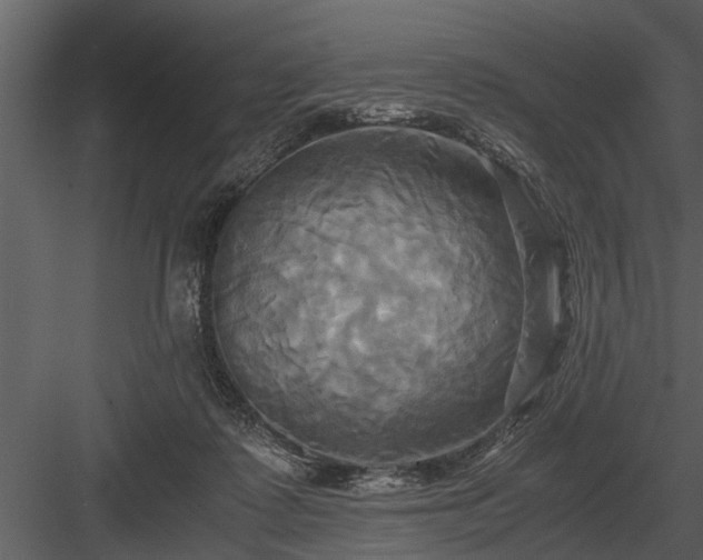 X0000084010315200702232211