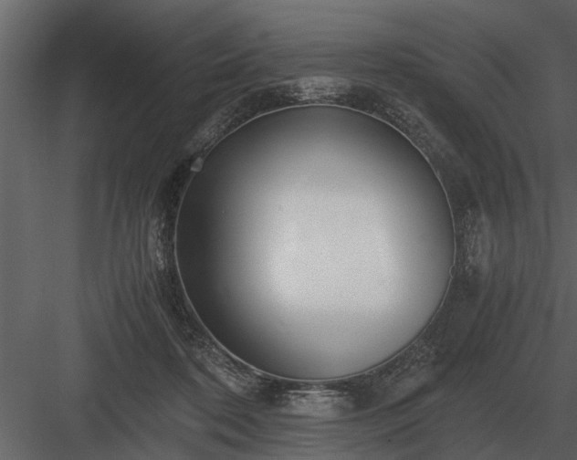 X0000084010316200702232211