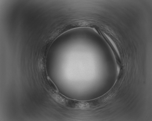 X0000084010317200702232211