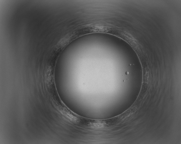 X0000084010318200702232211