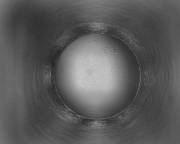 X0000084010320200702232211