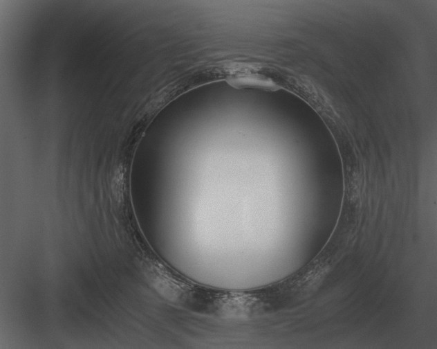 X0000084010321200702232211