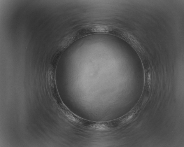 X0000084010322200702232211