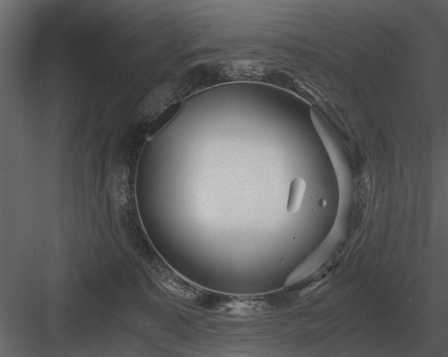 X0000084010323200702232211