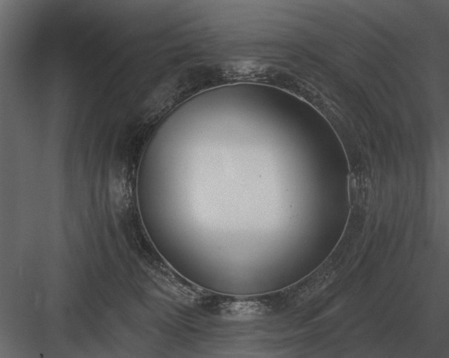 X0000084010324200702232211