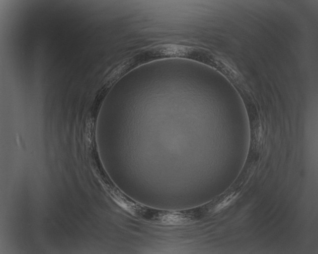 X0000084010325200702232211