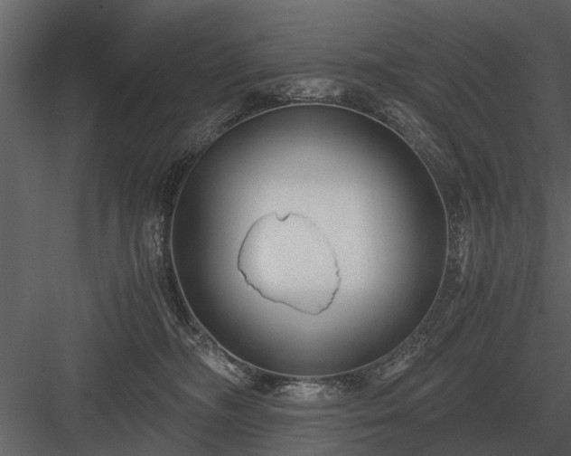 X0000084010326200702232211