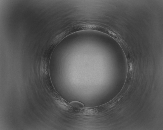 X0000084010330200702232211