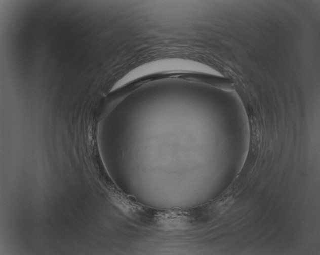 X0000084010331200702232211