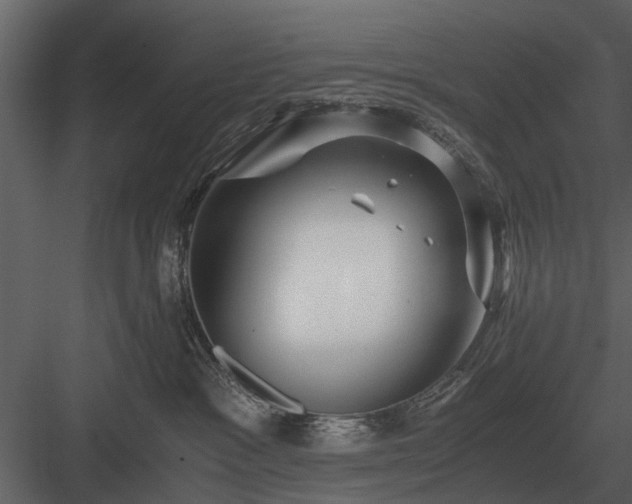 X0000084010333200702232211