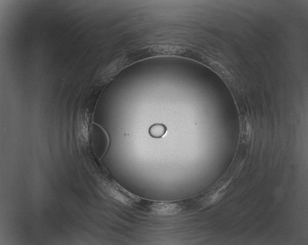 X0000084010334200702232211