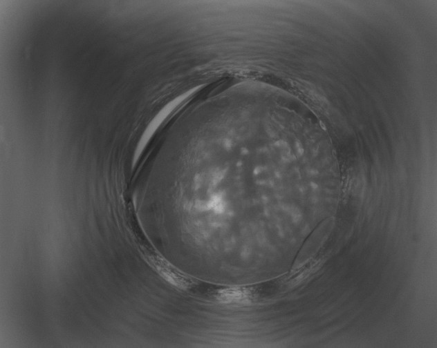 X0000084010335200702232211