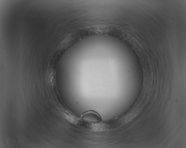 X0000084010336200702232211