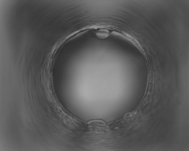 X0000084010337200702232210