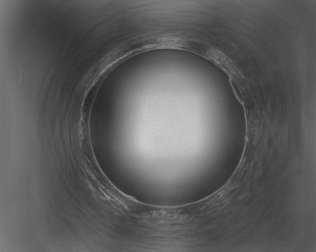 X0000084010338200702232210