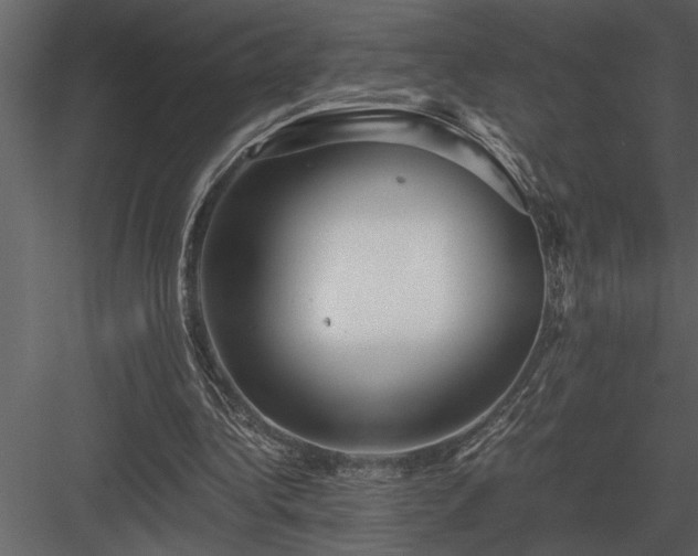 X0000084010340200702232210