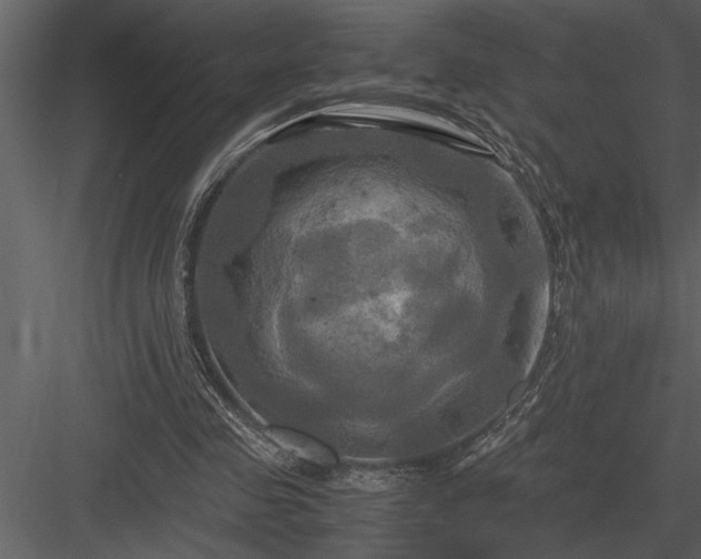 X0000084010341200702232210