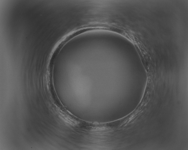 X0000084010342200702232210